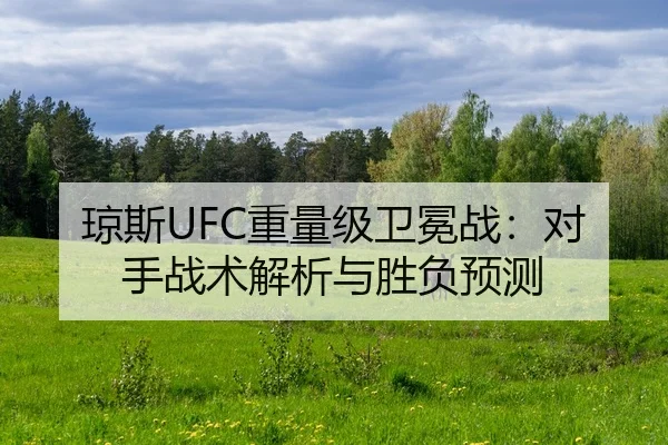 琼斯UFC重量级卫冕战：对手战术解析与胜负预测