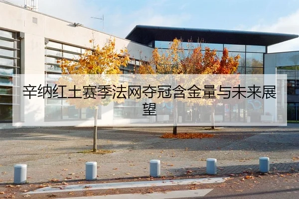 辛纳红土赛季法网夺冠含金量与未来展望