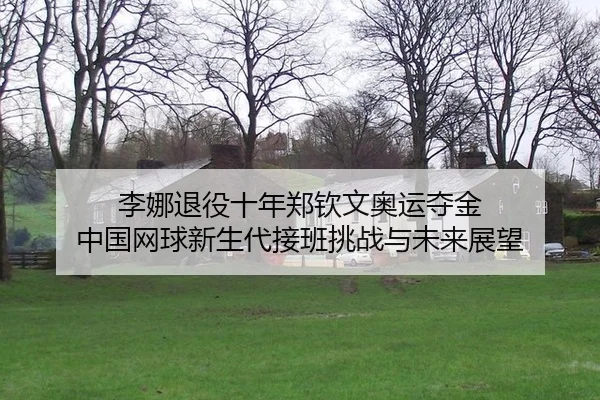 li-na-tui-yi-shi-nian-zheng-qin-wen-ao-yun-duo-jin-zhong-guo-wang-qiu-xin-sheng-dai-jie-ban-tiao-zhan-yu-wei-lai-zhan-2-136.jpg