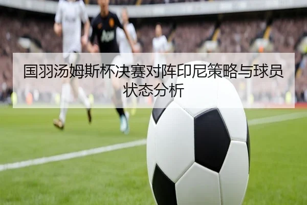 国羽汤姆斯杯决赛对阵印尼策略与球员状态分析