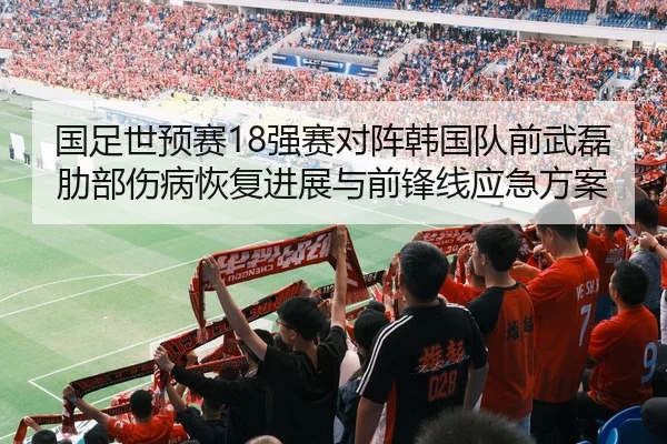 国足世预赛18强赛对阵韩国队前武磊肋部伤病恢复进展与前锋线应急方案